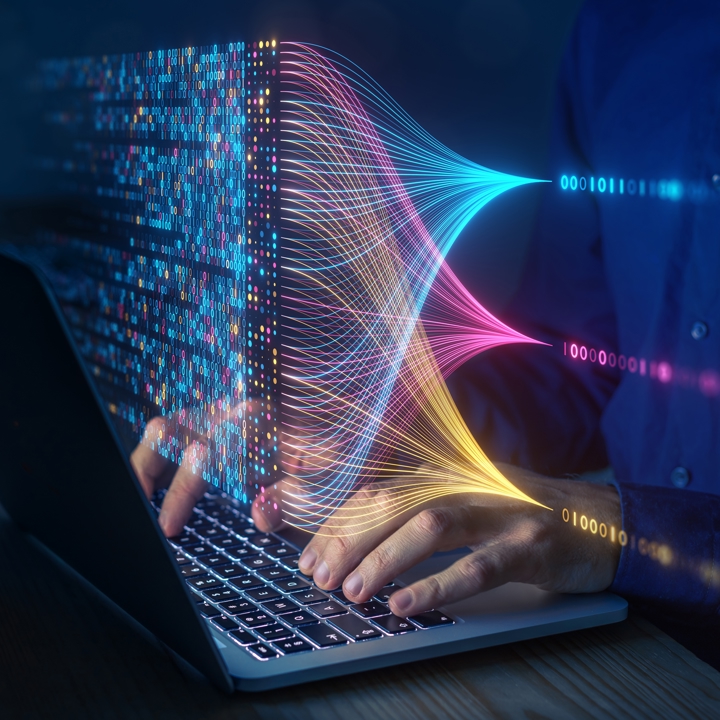 Data Scientists